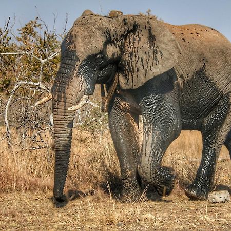 Ouklip Game Lodge Klipdrift Eksteriør billede