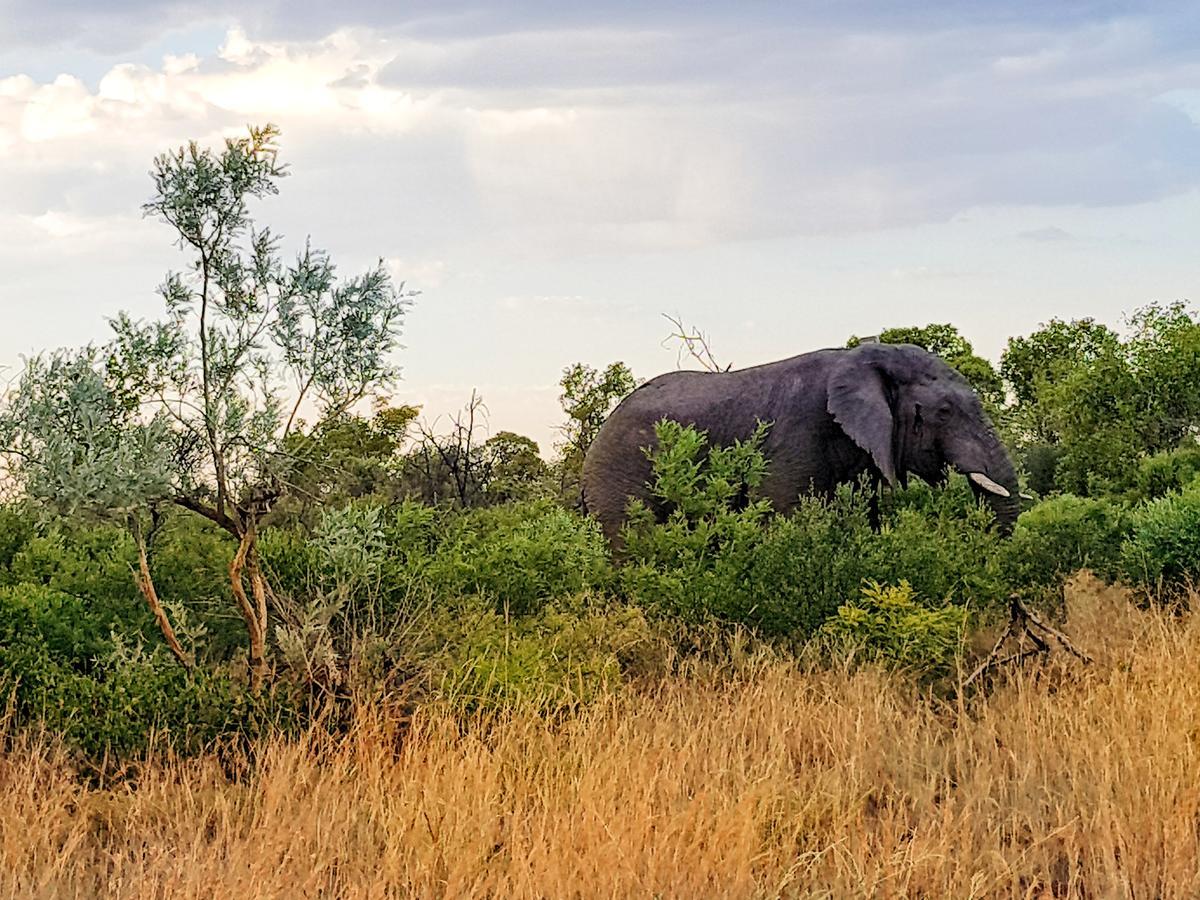 Ouklip Game Lodge Klipdrift Eksteriør billede